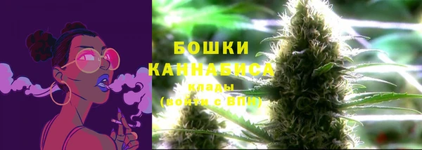 ECSTASY Бородино