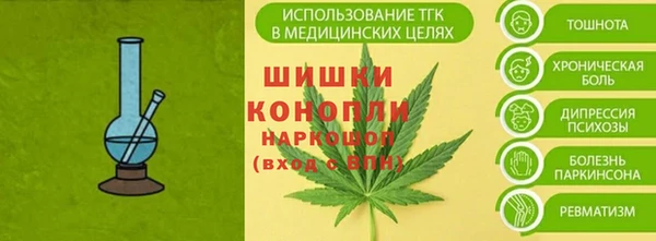 ECSTASY Бородино