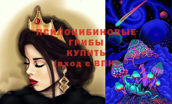ECSTASY Бородино