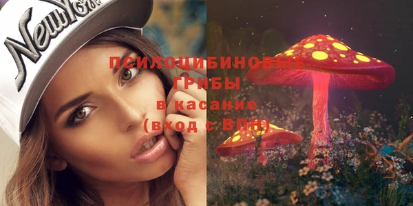 ECSTASY Бородино