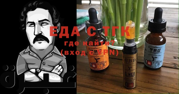 ECSTASY Бородино