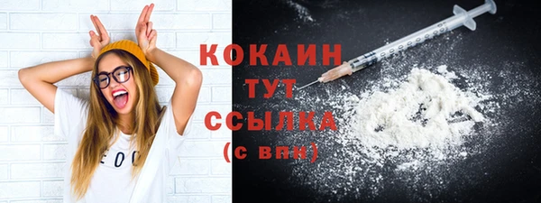 ECSTASY Бородино