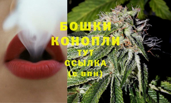 дмт Бронницы