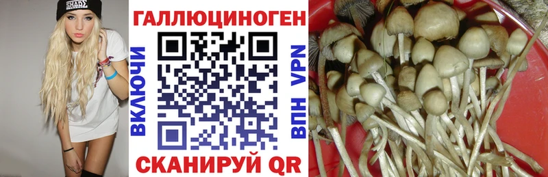 площадка наркотические препараты  Балашиха  Галлюциногенные грибы Magic Shrooms  закладки 