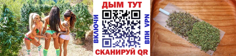kraken зеркало  Балашиха  Каннабис индика  где купить наркотик 